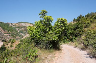 Kırım Dağları görüntü ile dağ manzarası