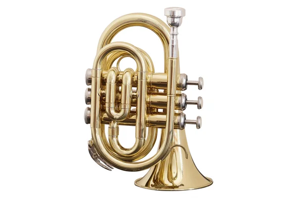 Muziekinstrument — Stockfoto