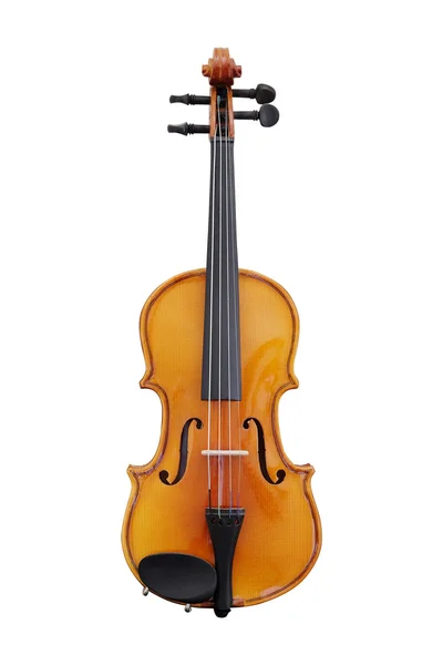 Violoncello isolato sotto lo sfondo bianco — Foto Stock