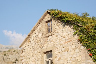 Bir eski çubuğu görünümünü