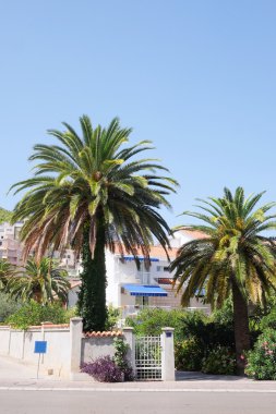 tatil beldesi çıkabilir ağaçta görüntüsünü