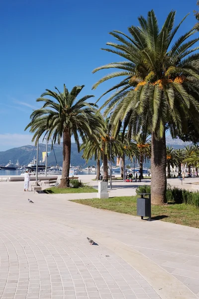 Tivat Dolgu görüntü ile manzara