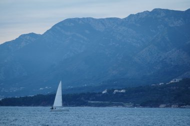 Tivat limanda gemi
