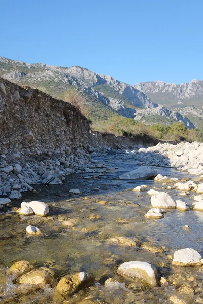 Paisaje con la imagen del arroyo de montaña — Foto de Stock