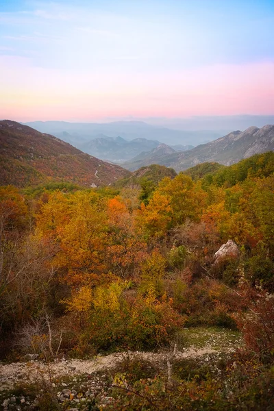 Landscape with the image of Bar panarama — Stock Photo, Image