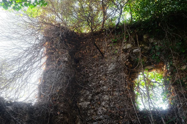 ロマンチックな遺跡のイメージ — ストック写真