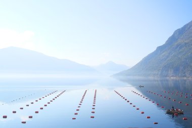 Deniz ve dağlar görüntü