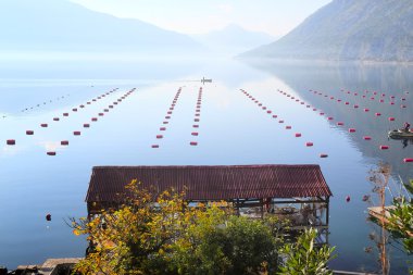 Deniz ve dağlar görüntü