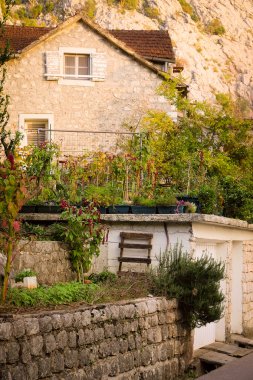 Kotor dağda yakın ev