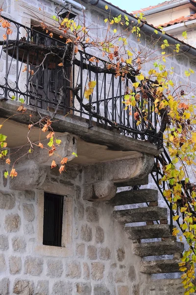 Staré budovy v Perast — Stock fotografie