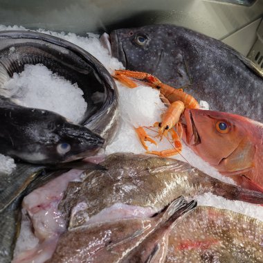 bir balık bir sayaçta görüntüsünü