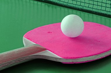 Masa Tenisi raket ve top