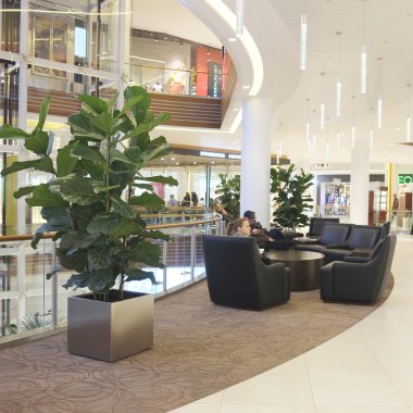 Crocus şehir merkezinin iç