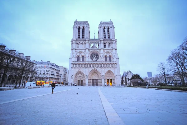 Senhora de notre de Paris — Fotografia de Stock