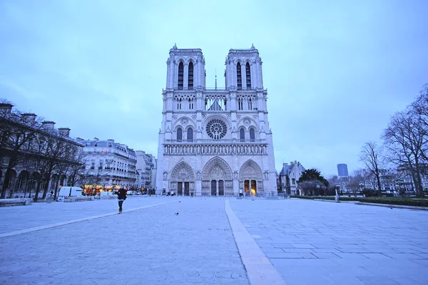 Notre Dame w Paryżu — Zdjęcie stockowe