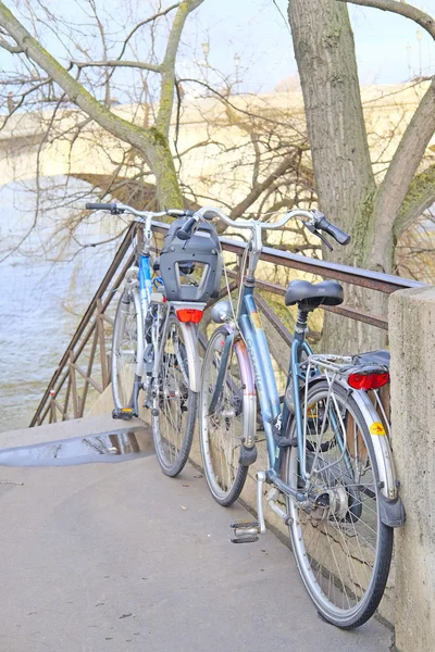 Vélos sur un parking à Paris — Photo