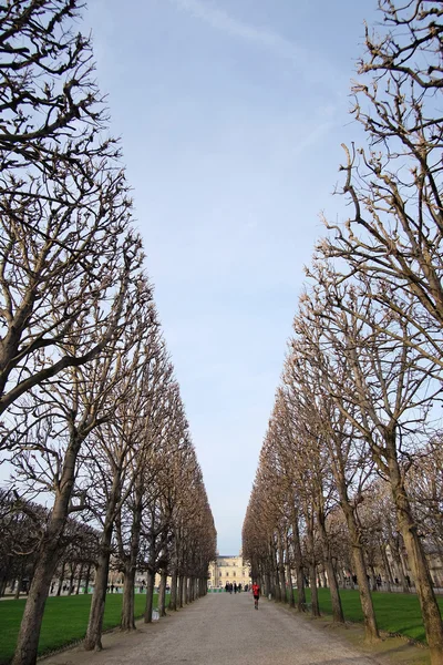 Lucembursko Park v centru Paříže — Stock fotografie