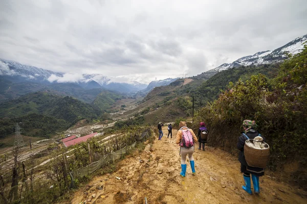 Alan teraslar pirinç. sapa vietnam — Stok fotoğraf