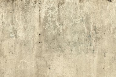 metin veya resim için alanı olan grunge arkaplanı