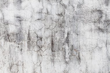 Grunge beyaz arkaplanı