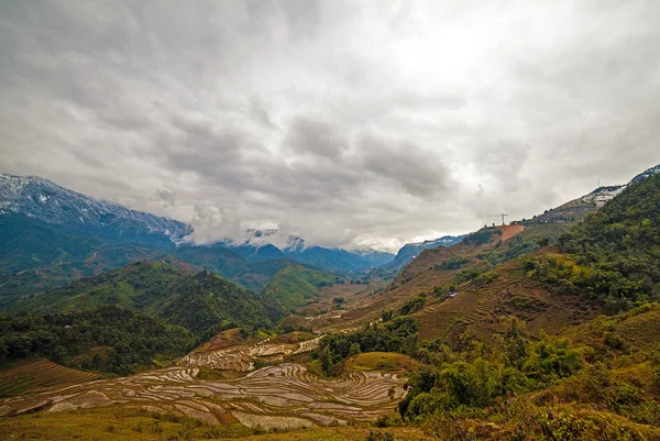 Veld rijstvelden. Sapa vietnam — Stockfoto