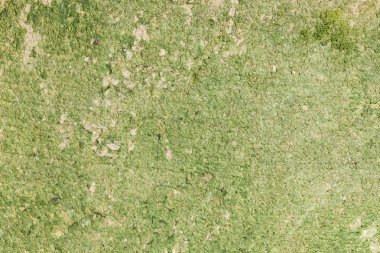 Yeşil sızmak Nehri akış sallayarak