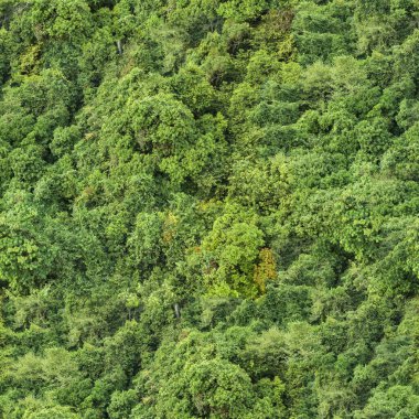 Ormansız desen, yukarıdan görünüyor. 4K