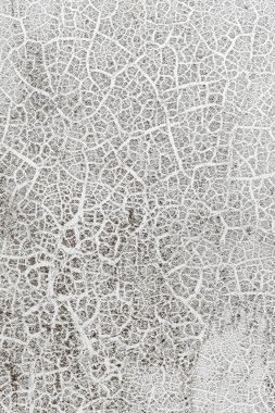 aşınmış beyaz beton duvar arka plan