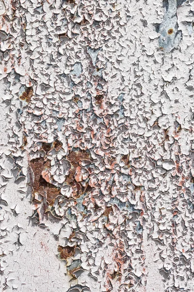 Grungy fondo de pared de hormigón blanco —  Fotos de Stock