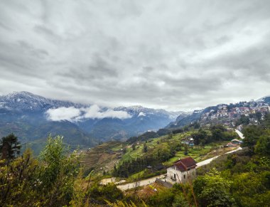 alan teraslar pirinç. sapa vietnam