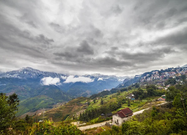 Veld rijstvelden. Sapa vietnam — Stockfoto