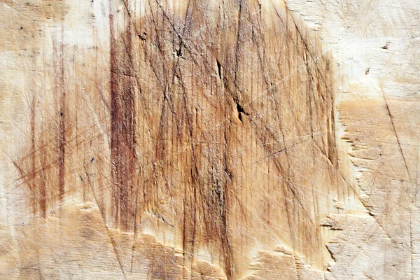 나무를 배경으로 하는 직물의 접합부 — 스톡 사진