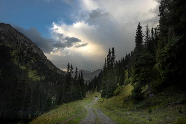 Camino Montaña Través Del Bosque — Foto de Stock