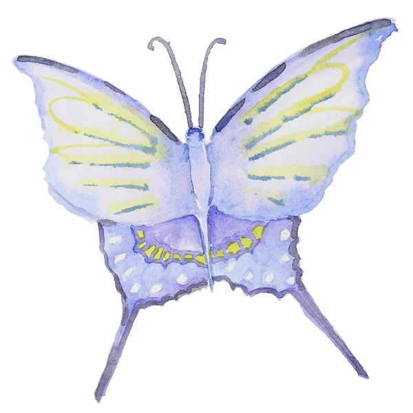 Papillon aquarelle sur blanc — Photo