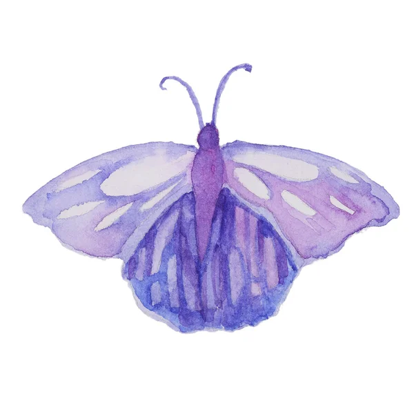 Акварельная бабочка на белом — стоковое фото