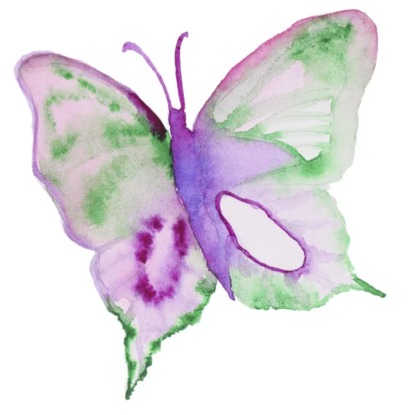 Papillon aquarelle sur blanc — Photo