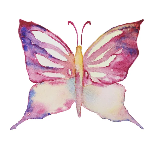 화이트에 수채화 나비 — 스톡 사진