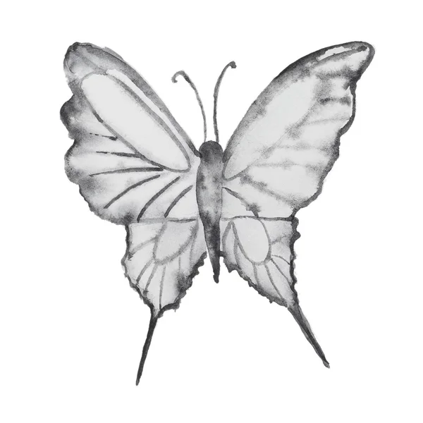 在白色的水彩蝴蝶 — 图库照片