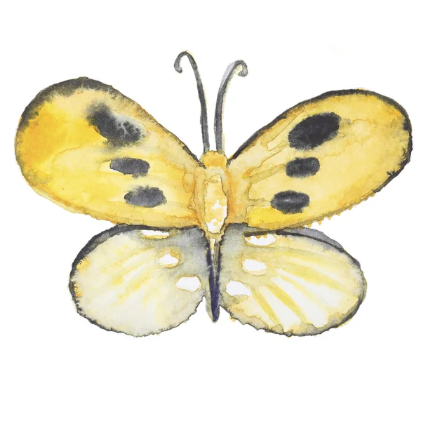 Watercolor butterfly on white — Stock Photo, Image