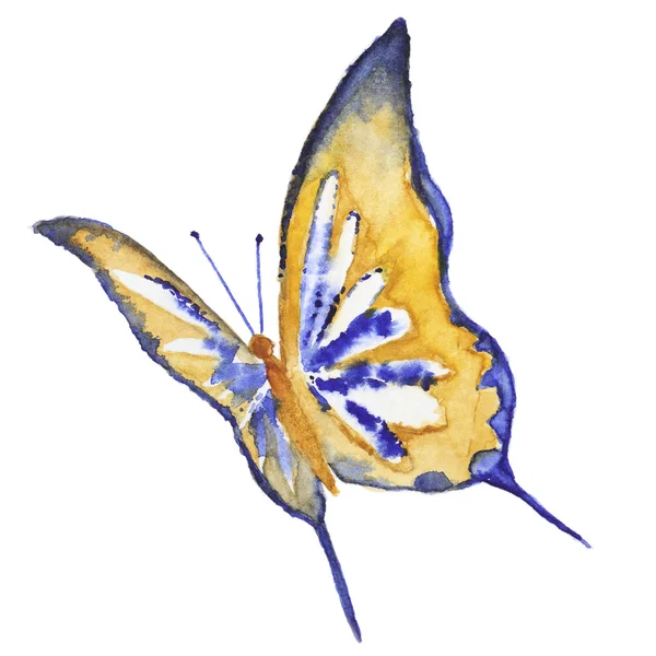 Watercolor butterfly on white — Stock Photo, Image