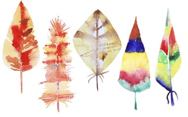 Suluboya tüyler kümesi