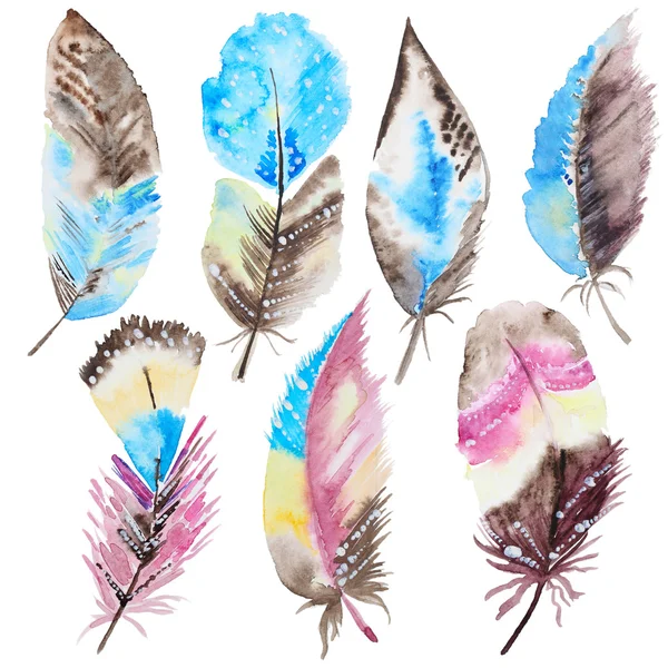 Set of watercolor feathers — Stock Photo, Image