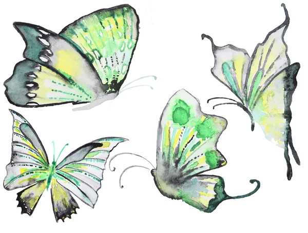 Coleção de borboletas desenhadas à mão — Fotografia de Stock