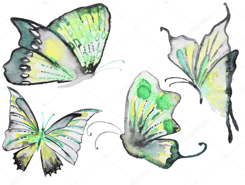 Hand drawn butterflies collection
