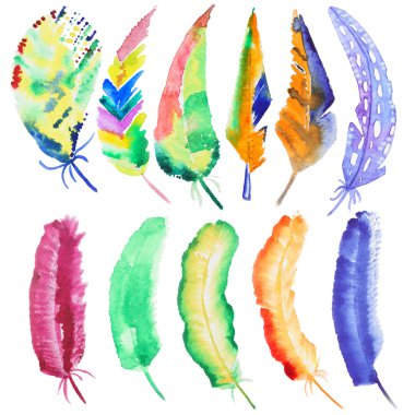 Suluboya tüyler kümesi