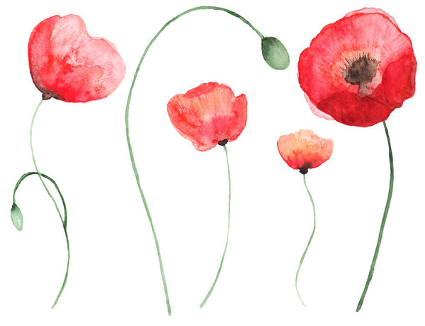 Абстрактные акварельные цветы