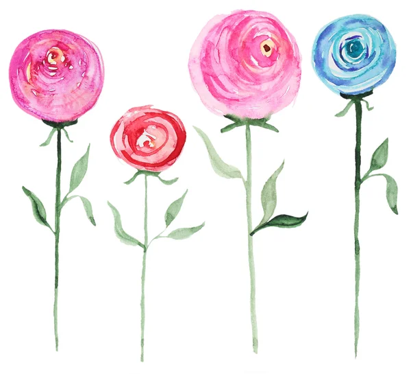 Akvarell ros blommor — Stockfoto