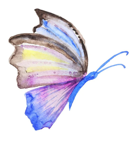 Abstracto Acuarela mariposa dibujada a mano — Foto de Stock