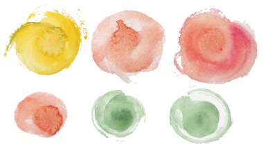 suluboya gül çiçekleri