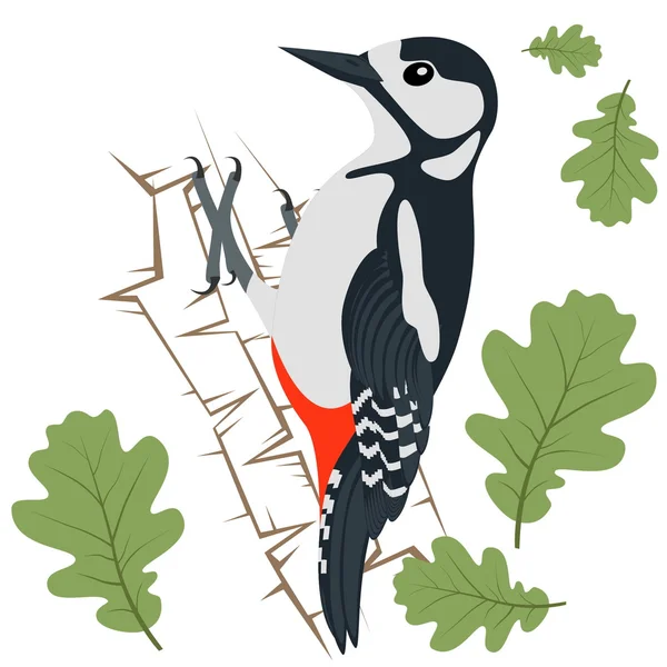 Vectorillustratie van Woodpecker — Stockvector